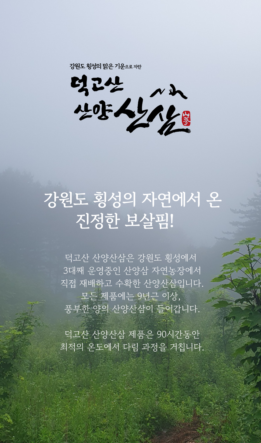 덕고산 산양산삼 소개